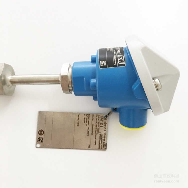 E+H TM101 real product photo