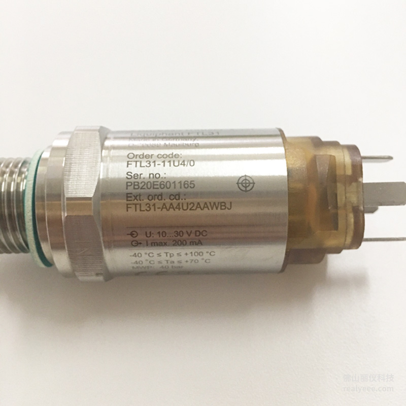 E+H FTL31-AA4U2AAWBJ level switch model label and specification