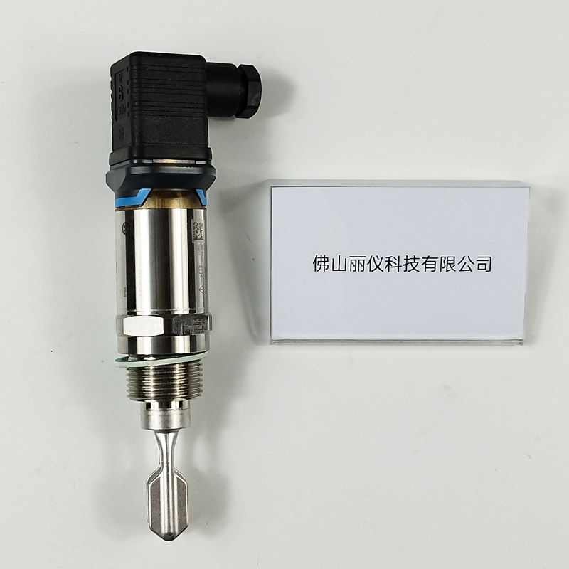 E+H FTL31 音叉液位开关 G螺纹接口 过程连接细节