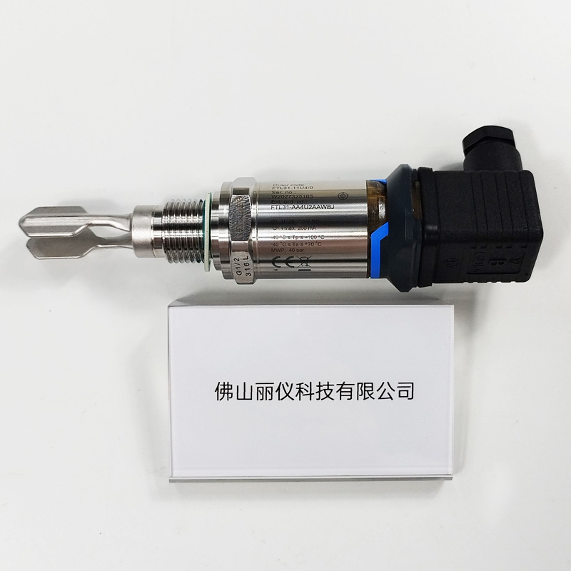 E+H FTL31-AA4U2AAWBJ(FTL31-11U4/0) 音叉液位开关 型号标签