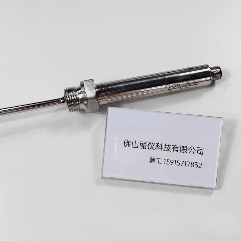 E+H TMR31-A1DCBBAG1AAA 热电阻温度计 型号标签