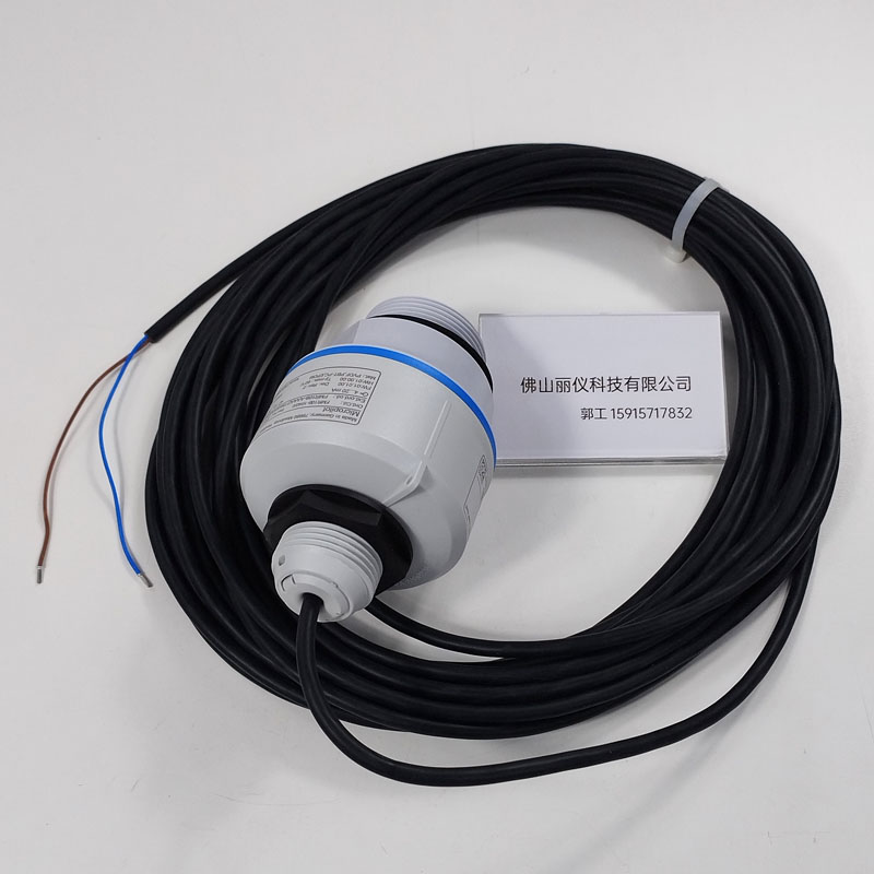 E+H FMR10B-AAAADTBMWDGWEEB（FMR10B-1040/0） 雷达物位计 预装10m电缆 电气连接细节