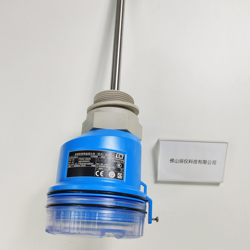E+H FTE20-AA13AD41(FE20-12Q2/0) 阻旋料位开关 铭牌型号标签