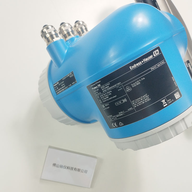 E+H 8E3B25-NSIBAEAFAASAFTSHA1+AK(8E3B25-X978-0) 质量流量计 Promass E 300 铭牌型号标签